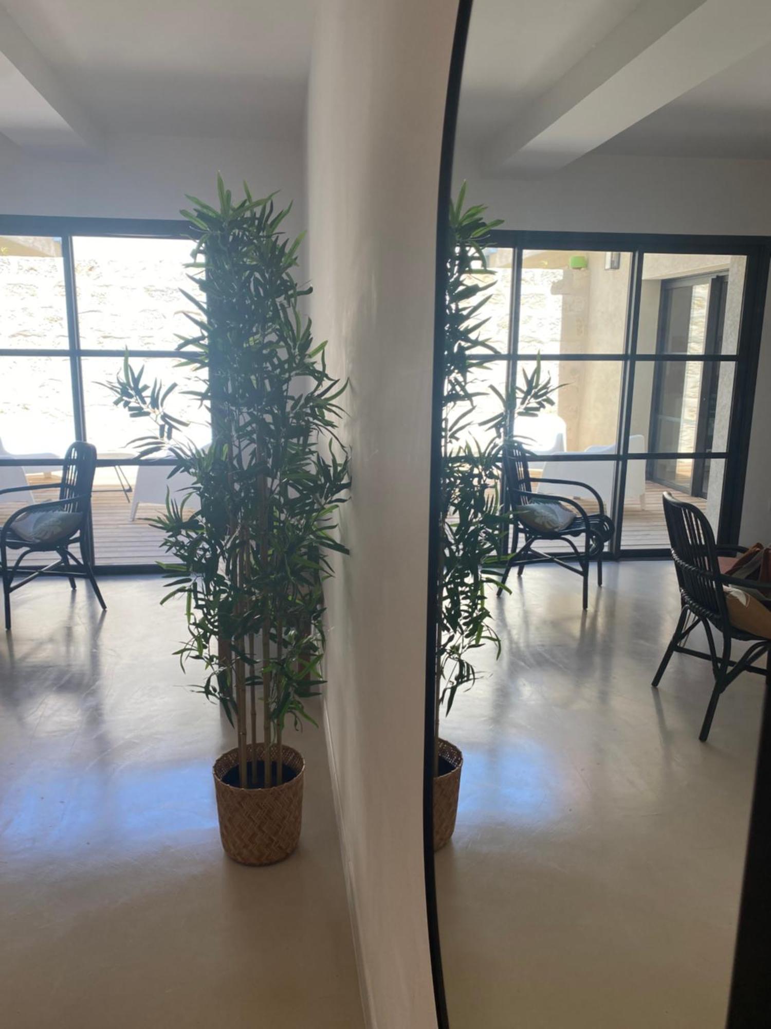 Maison Diderot Aigues-Mortes Ngoại thất bức ảnh